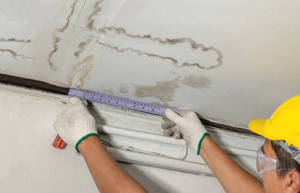 Reliable Water Damage contractor in Tulia, TX by Water Damage Irwin